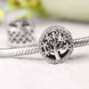 One Piece 925 Sterling Silver Bead Charm