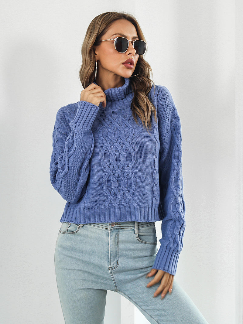 Turtleneck Dropped Shoulder Sweater